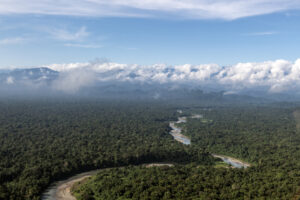 Aerial view of the Clay River in East Sepik Province in Papua New Guinea